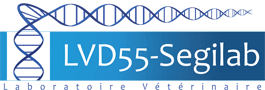 LVD55-SEGILAB